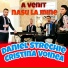 Daniel Strechie, Cristina Voinea