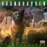 Soundgarden