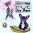Pet Music Academy