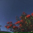 Valentine Valley feat. weirdove