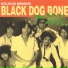 Black Dog Bone