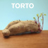 TORTO