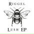 Riggel