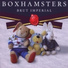 Boxhamsters