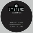 System2