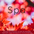 Musique Piano Spa