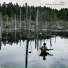 Folke