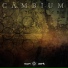 Cambium, Electic