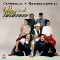 Banda Guadalajara Express