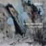 Albert Beger Quartet