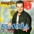 Slavisa Vujic