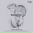 Ranacat, Steve Cook