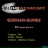 Gokhan Gunes