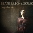 Beate S. Lech, Skruk