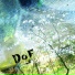 DoF