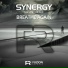 Synergy feat. Ant Neale