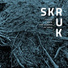 SKRUK, Tord Gustavsen, Rune Arnesen
