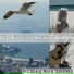 Rio Bossa Nova