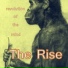 The Rise