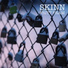Skinn