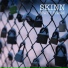 Skinn