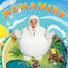Munamies