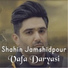 Shahin Jamshidpour