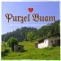 Purzel Buam
