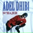 Adel Dhibi