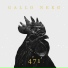GALLO NERØ