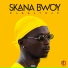 Skana Bwoy