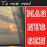 Magnussen