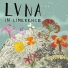 LVNA