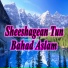 Bahad Aslam