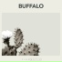 Buffalo