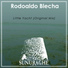 Rodoaldo Blecha