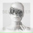 BELLFLOWER