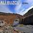 Ali Buzcu