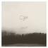 Cyte