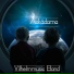 VilhelmMusic band