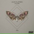 Alex Flatner