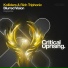 Kolliders, Rich Triphonic