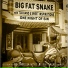Big Fat Snake