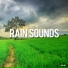 Rain Sounds