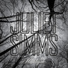 Juliet Simms