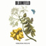 Blumfeld