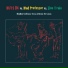 Mad Professor, Ruts DC