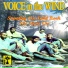 VOICE IN THE WIND