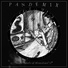Pandemix