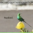 Massimo Giuntini, Roger Lucey